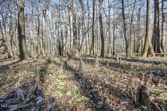 $975,000 | 1 Rodney Bend Road, Lorman, MS 39096