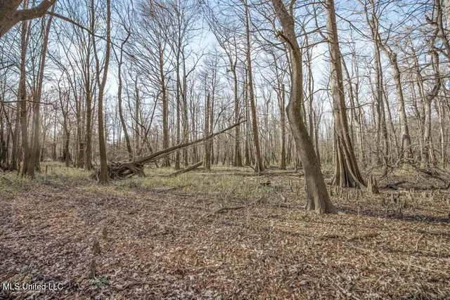 $975,000 | 1 Rodney Bend Road, Lorman, MS 39096