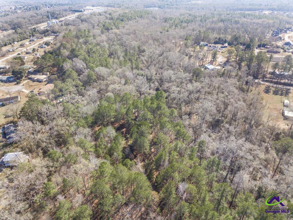 42.5 Old Perry Road Hawkinsville, GA 31036 - Photo 8 of 17