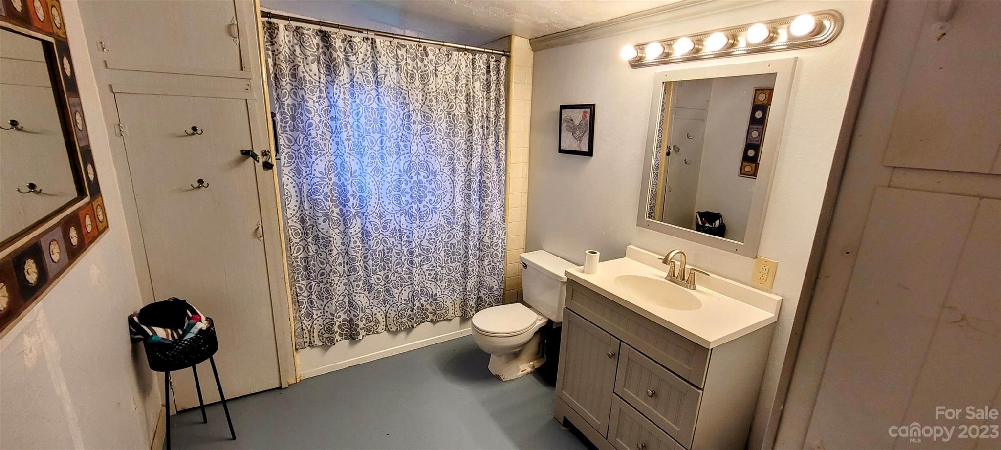 6115 Skyland Drive Sylva, NC 28779 - Photo 14 of 15 a bathroom with a sink a toilet and shower curtain