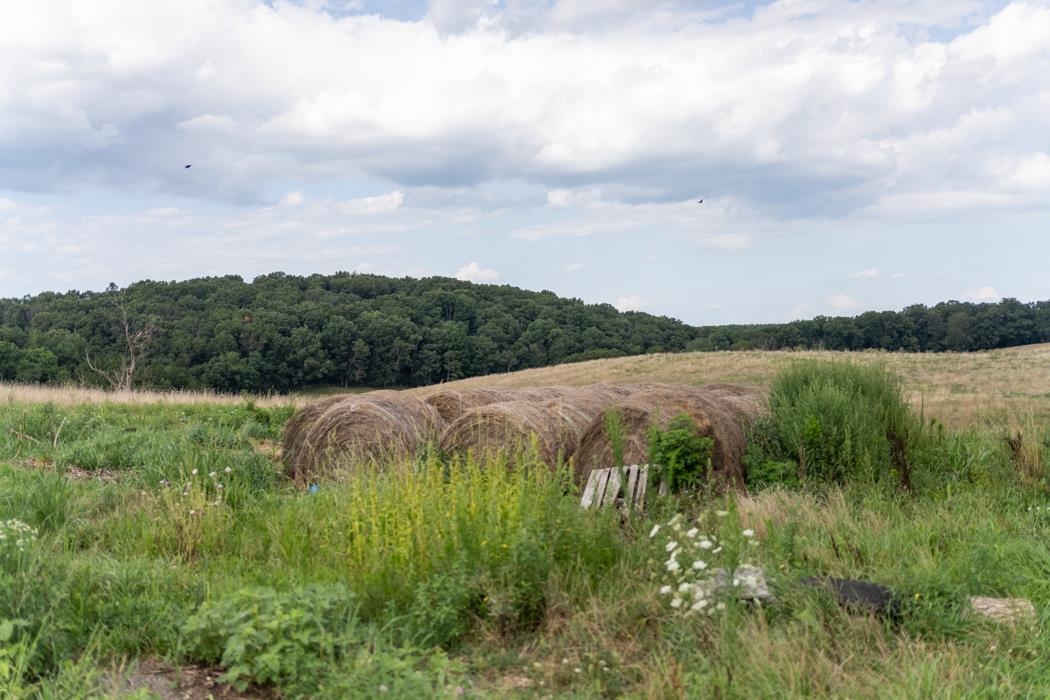 2349 Spring Hill Road Staunton, VA 24401 - Photo 75 of 75 Gallery Image 75