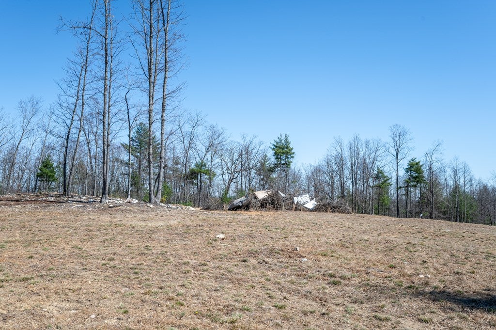 3014 Pine Mountain Road Independence, VA 24348 - Photo 8 of 50 Gallery Image 8