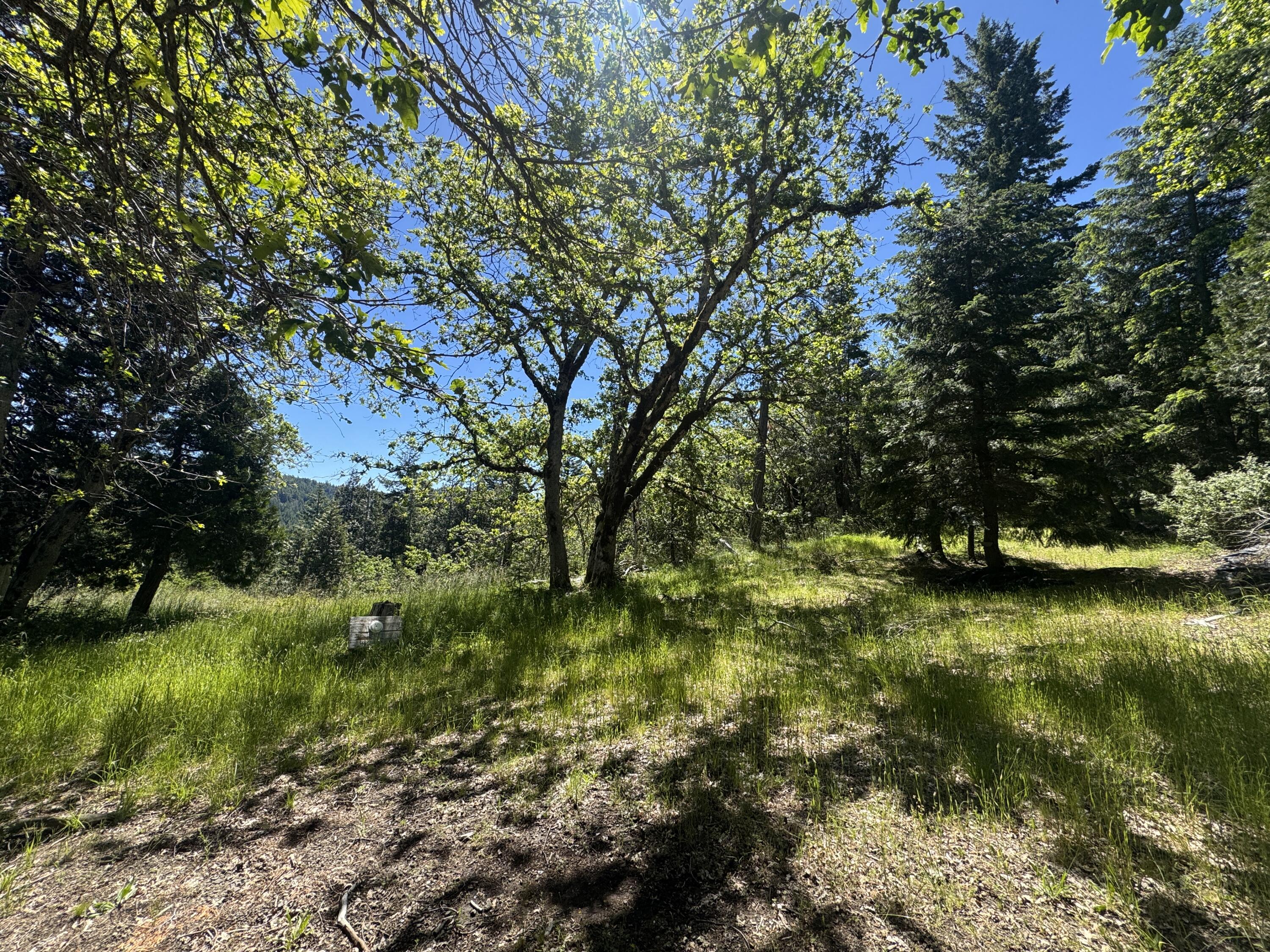40-acres Snow Camp Road Korbel, CA 95550 - Photo 22 of 26