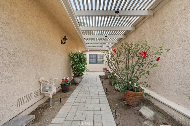 a potted plant sitting in front of a house