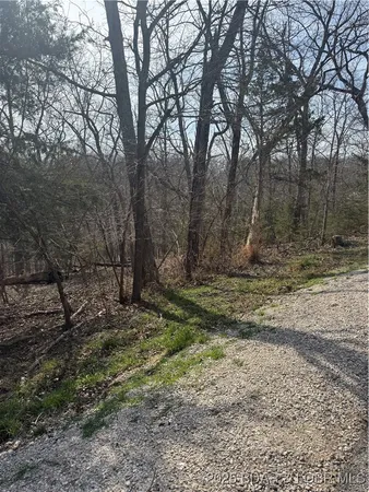 $3,500 | Lot 979 Bobcat, Four Seasons, MO 65049