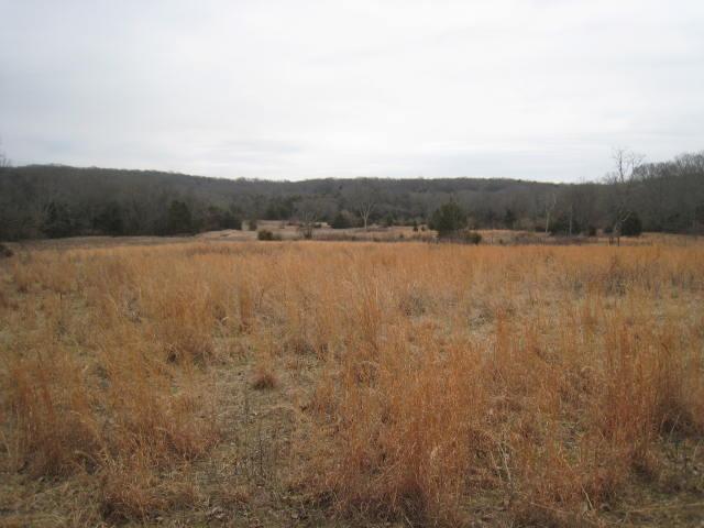 837 Comer Road Lascassas, TN 37085 - Photo 14 of 17 View of land