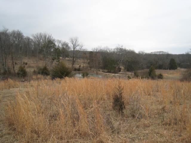 837 Comer Road Lascassas, TN 37085 - Photo 15 of 17 Another view of the land