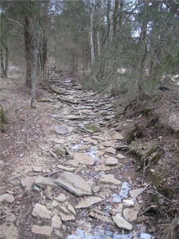 837 Comer Road Lascassas, TN 37085 - Photo 16 of 17 Wet weather creek in back
