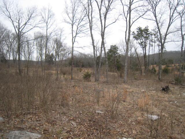 837 Comer Road Lascassas, TN 37085 - Photo 8 of 17