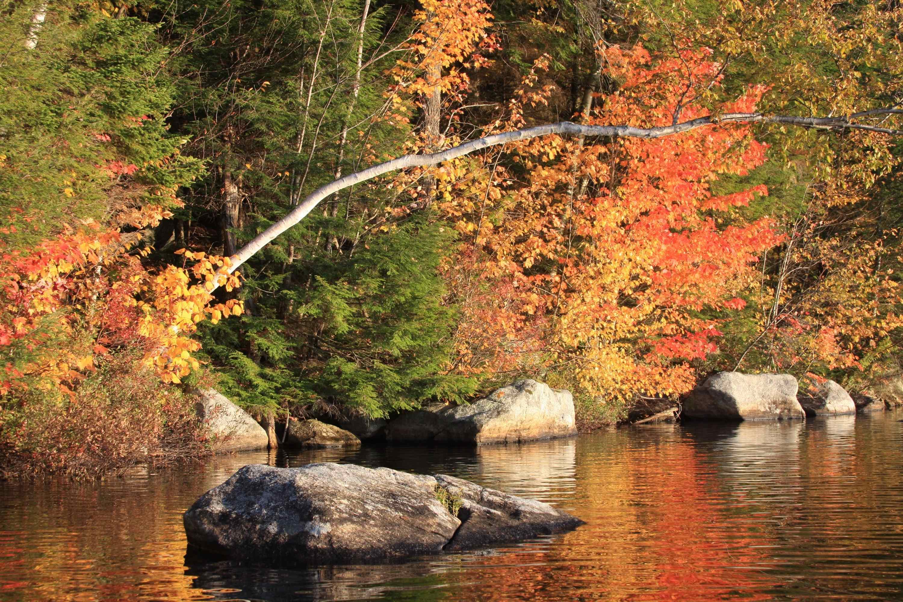 44 Troon Drive Grantham, NH 03753 - Photo 18 of 19