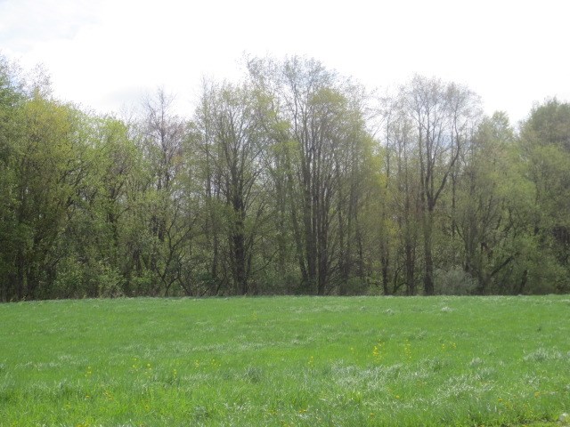 0 Ridge Chapel Road Marion, NY 14505 - Photo 1 of 1