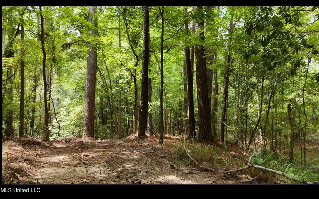 $1,151,752 | 0 Shelby Road, Hermanville, MS 39086