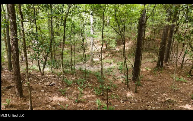 $1,151,752 | 0 Shelby Road, Hermanville, MS 39086