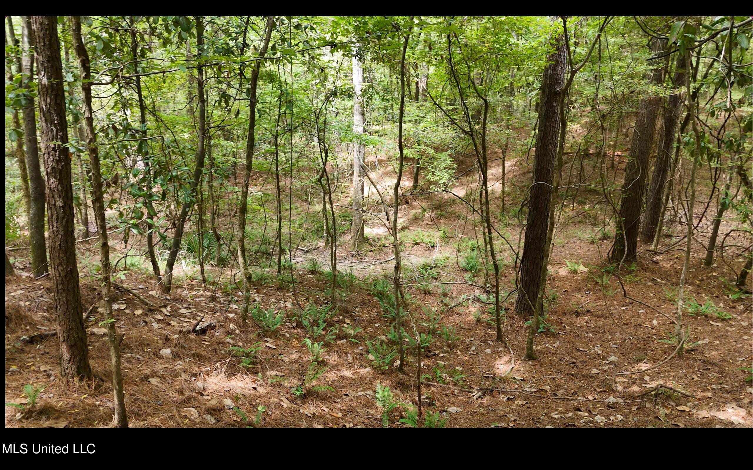 0 Shelby Road Hermanville, MS 39086 - Photo 13 of 23 Screen Shot 2025-09-05 at 9.15.34 AM