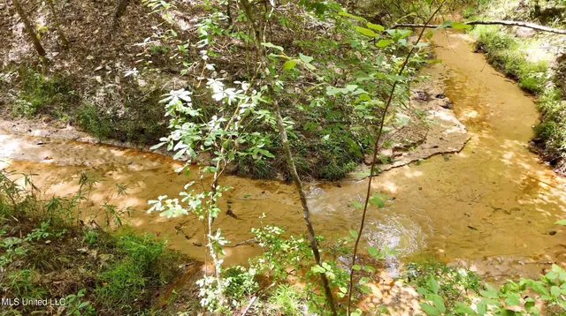 $1,151,752 | 0 Shelby Road, Hermanville, MS 39086