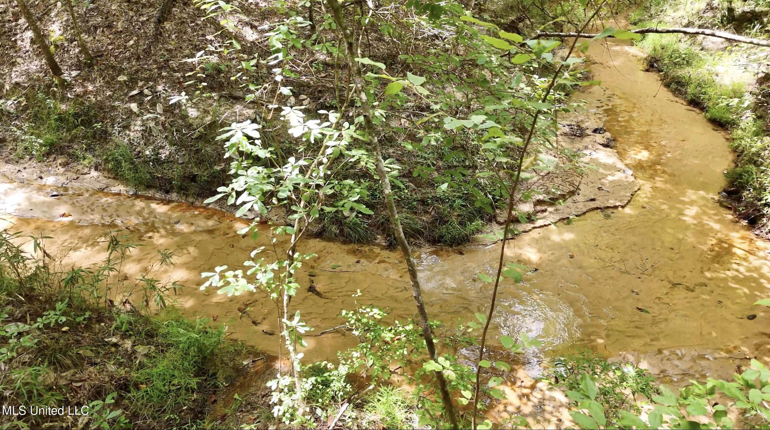 0 Shelby Road Hermanville, MS 39086 - Photo 14 of 23 Screen Shot 2025-09-05 at 9.06.57 AM