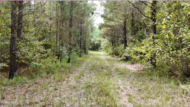 $1,151,752 | 0 Shelby Road, Hermanville, MS 39086
