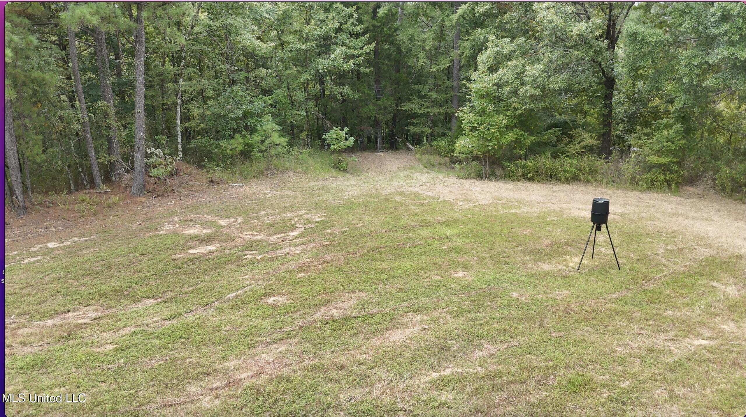 0 Shelby Road Hermanville, MS 39086 - Photo 17 of 23 Screen Shot 2025-09-05 at 9.14.04 AM