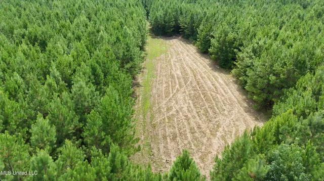 $1,151,752 | 0 Shelby Road, Hermanville, MS 39086