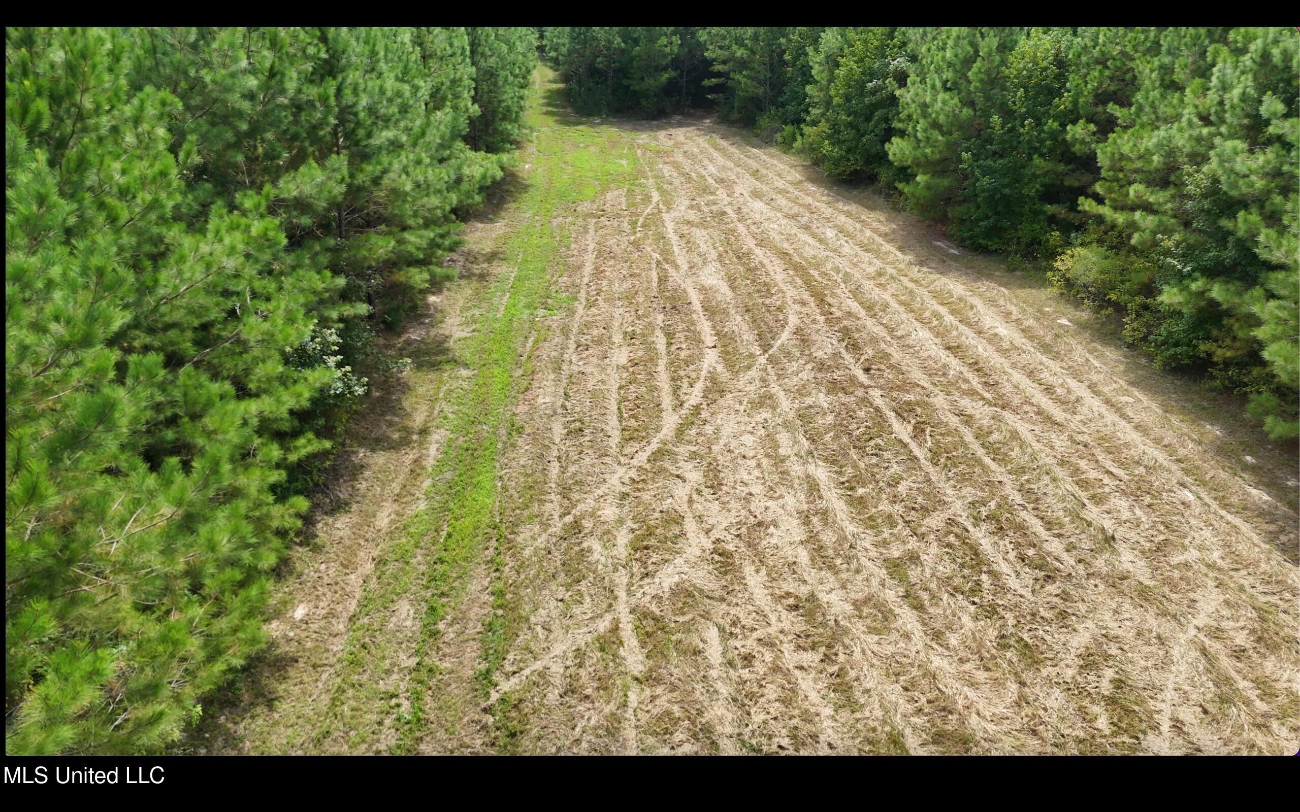 0 Shelby Road Hermanville, MS 39086 - Photo 19 of 23 Screen Shot 2025-09-05 at 9.27.37 AM