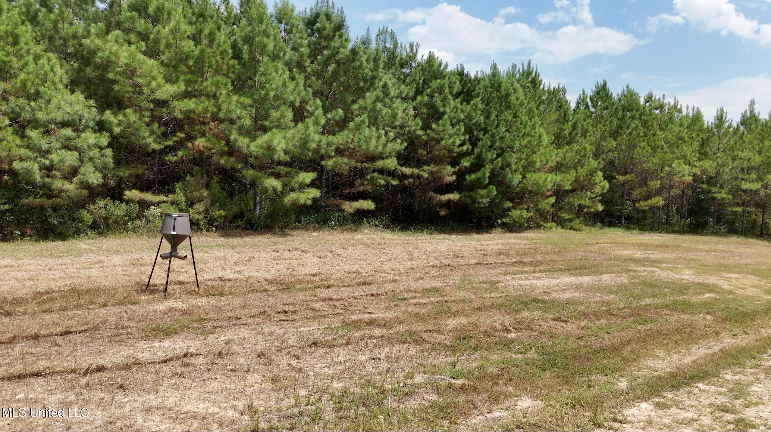 0 Shelby Road Hermanville, MS 39086 - Photo 20 of 23 Screen Shot 2025-09-05 at 9.18.03 AM