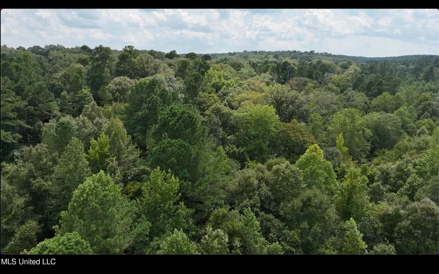 $1,151,752 | 0 Shelby Road, Hermanville, MS 39086