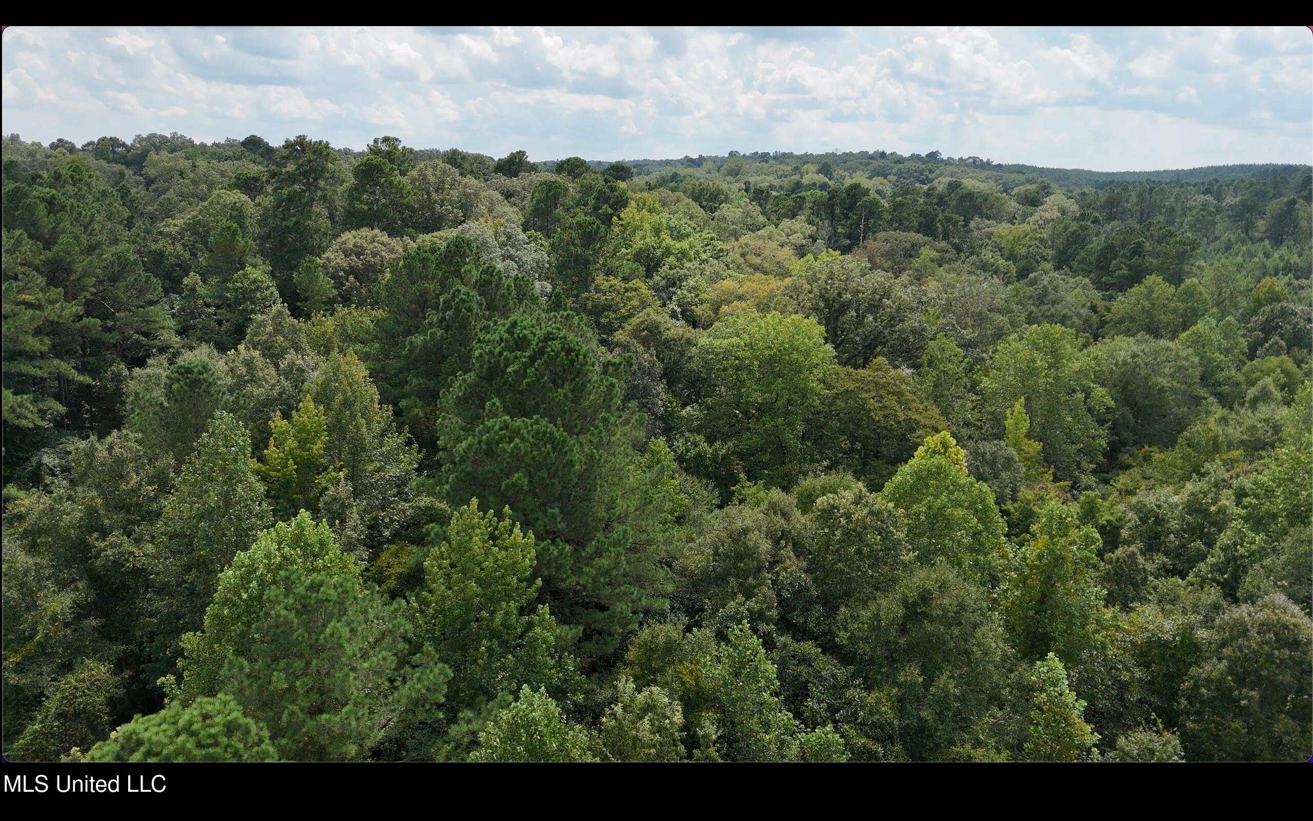 0 Shelby Road Hermanville, MS 39086 - Photo 21 of 23 Screen Shot 2025-09-05 at 9.20.21 AM