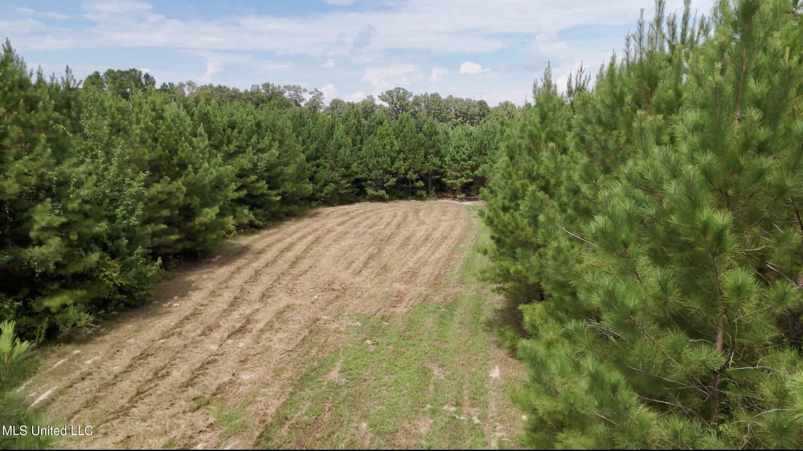 0 Shelby Road Hermanville, MS 39086 - Photo 3 of 23 Screen Shot 2025-09-05 at 9.10.40 AM