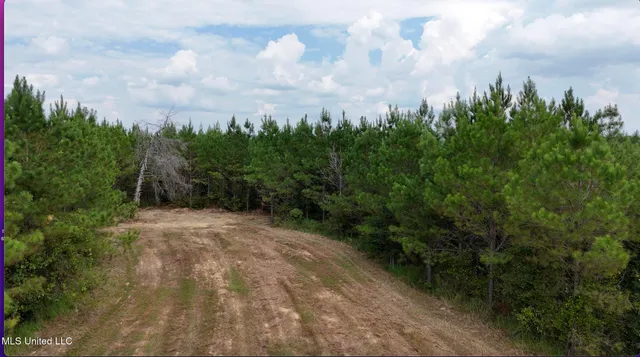 $1,151,752 | 0 Shelby Road, Hermanville, MS 39086