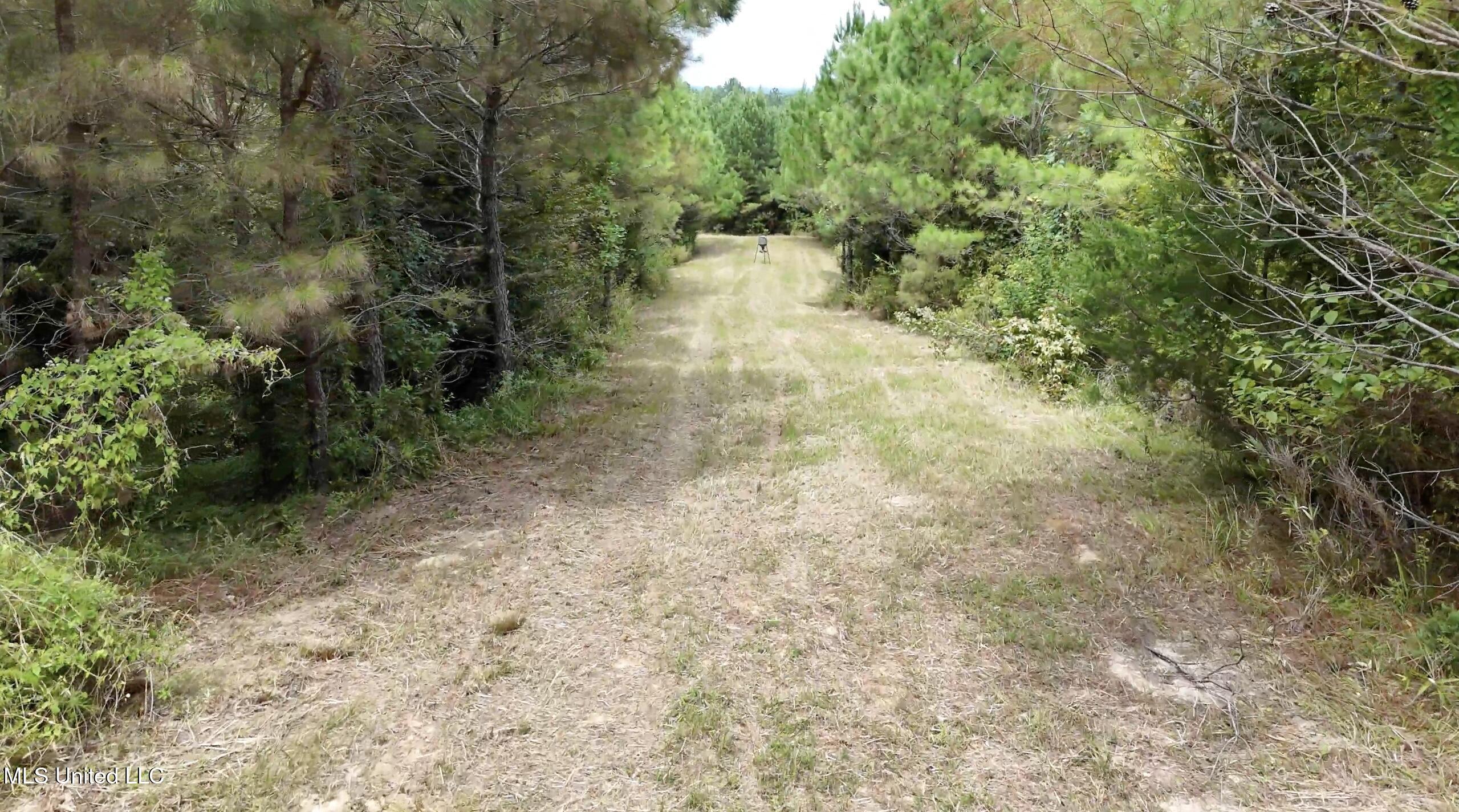 0 Shelby Road Hermanville, MS 39086 - Photo 5 of 23 Screen Shot 2025-09-05 at 9.05.54 AM