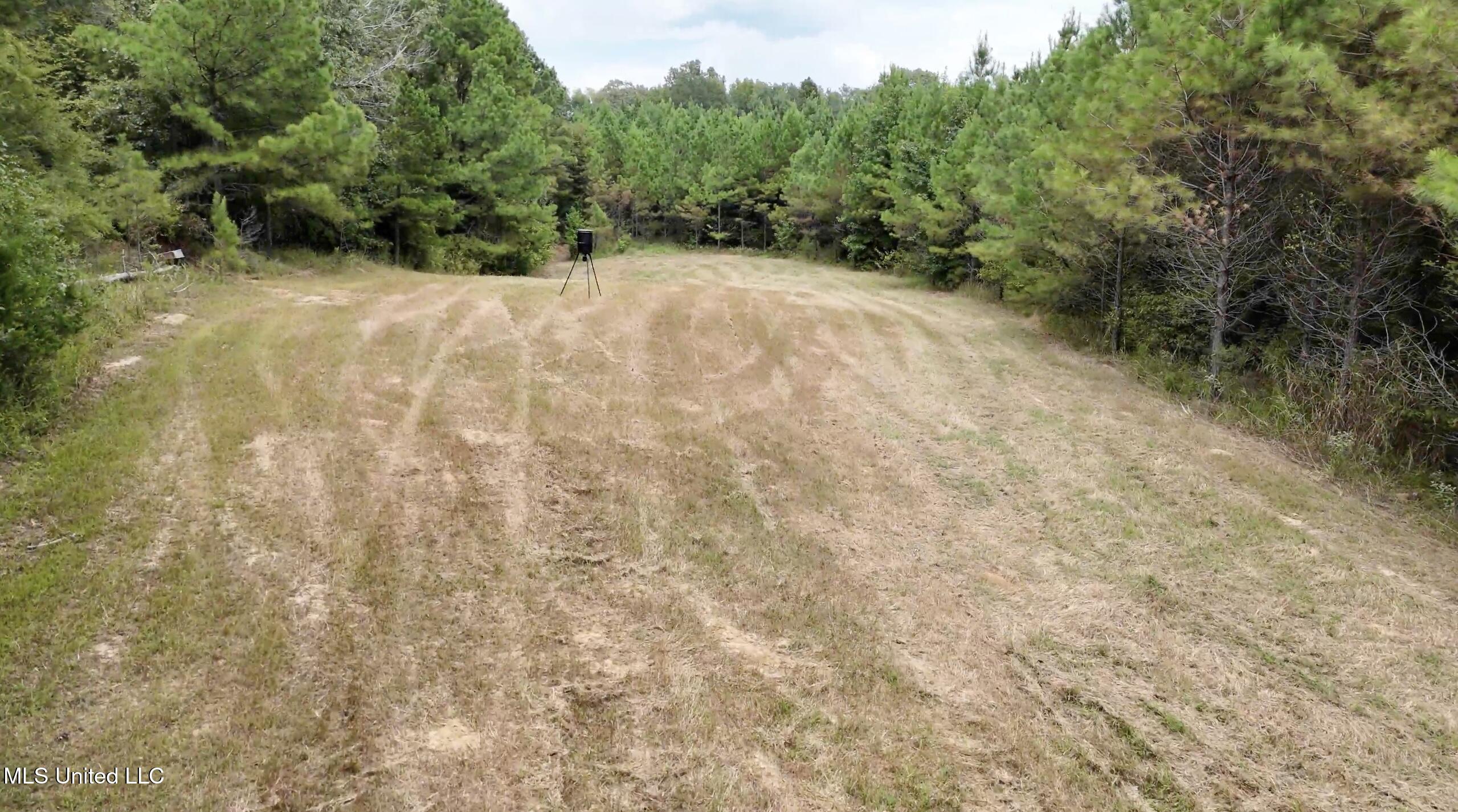 0 Shelby Road Hermanville, MS 39086 - Photo 6 of 23 Screen Shot 2025-09-05 at 9.06.23 AM