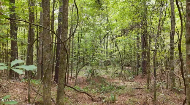 $1,151,752 | 0 Shelby Road, Hermanville, MS 39086