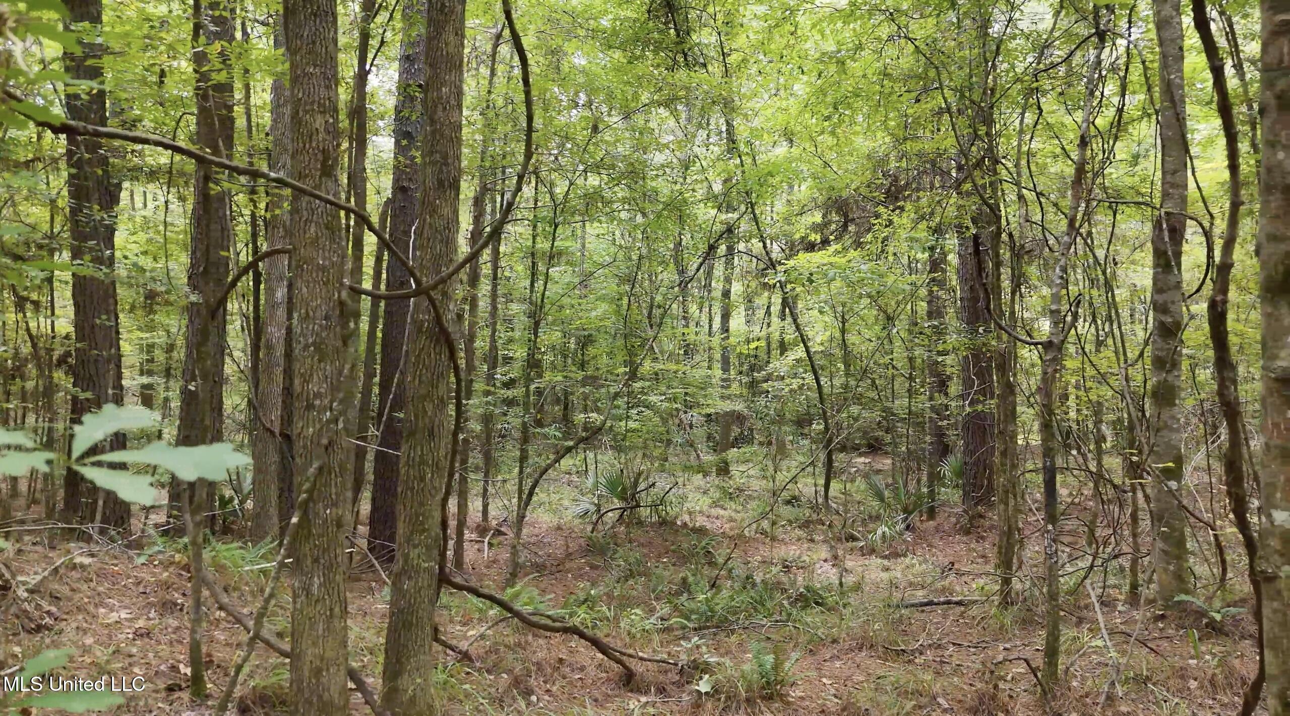 0 Shelby Road Hermanville, MS 39086 - Photo 8 of 23 Screen Shot 2025-09-05 at 9.06.36 AM