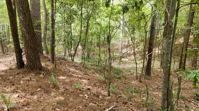 $1,151,752 | 0 Shelby Road, Hermanville, MS 39086