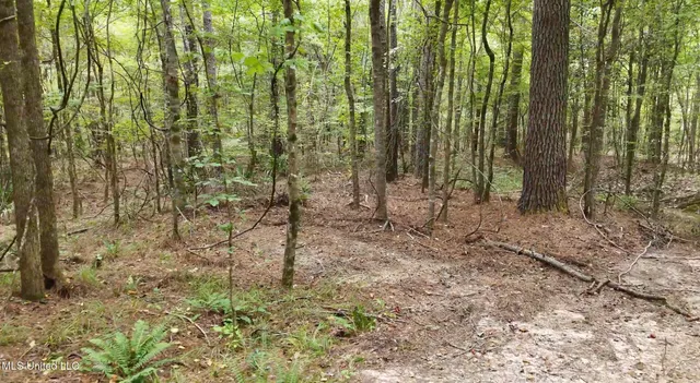 $1,151,752 | 0 Shelby Road, Hermanville, MS 39086