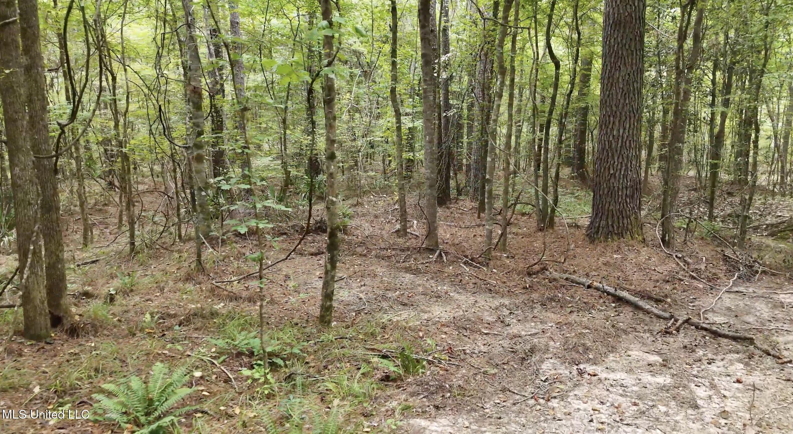 0 Shelby Road Hermanville, MS 39086 - Photo 10 of 23 Screen Shot 2025-09-05 at 9.09.44 AM