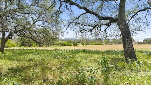 a view of yard with green space