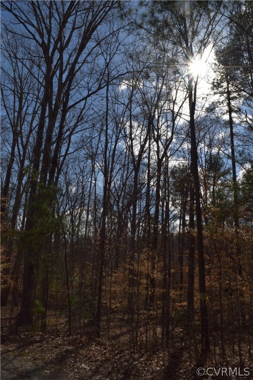 373 Hamlet Road Manakin-Sabot, VA 23103 - Photo 11 of 49 a view of trees in a yard