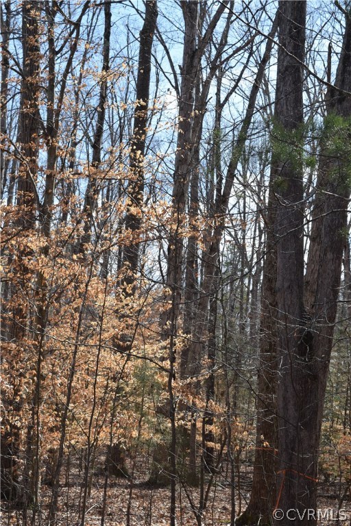 373 Hamlet Road Manakin-Sabot, VA 23103 - Photo 13 of 49 close up of a tree