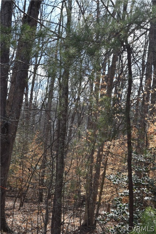 373 Hamlet Road Manakin-Sabot, VA 23103 - Photo 14 of 49