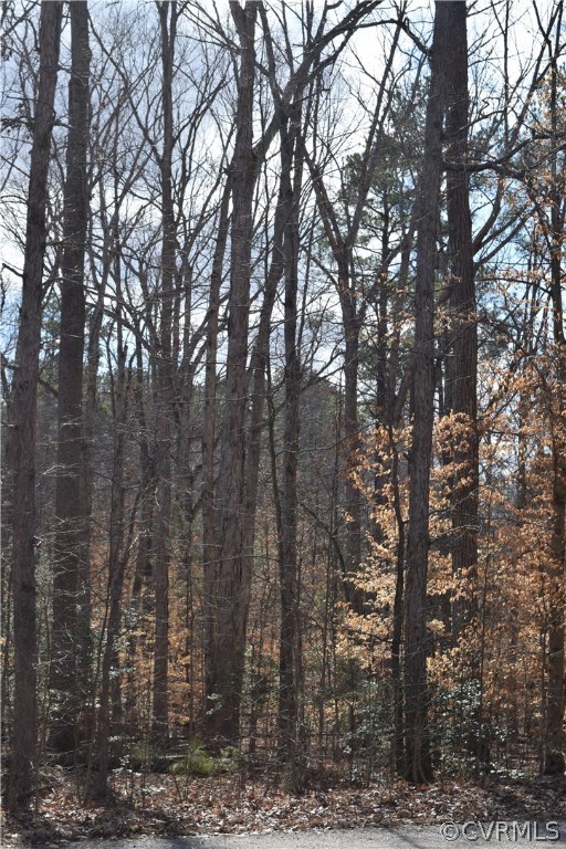 373 Hamlet Road Manakin-Sabot, VA 23103 - Photo 16 of 49 a view of outdoor space