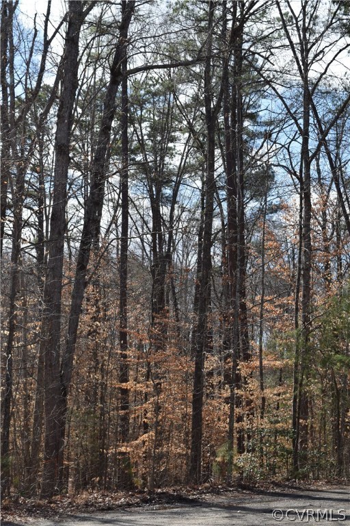 373 Hamlet Road Manakin-Sabot, VA 23103 - Photo 18 of 49 a view of a city view