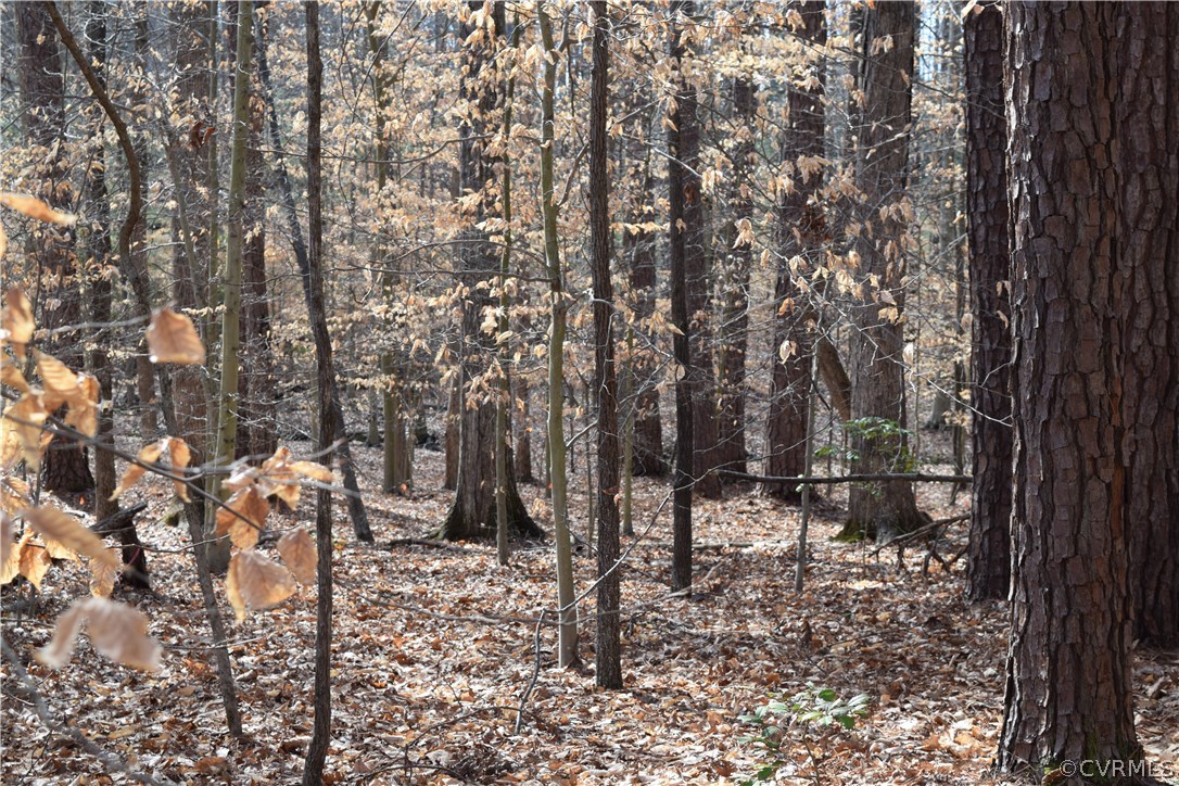373 Hamlet Road Manakin-Sabot, VA 23103 - Photo 20 of 49 a view of outdoor space with lots of trees