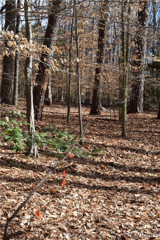 373 Hamlet Road Manakin-Sabot, VA 23103 - Photo 24 of 49 a backyard of a house with lots of green space