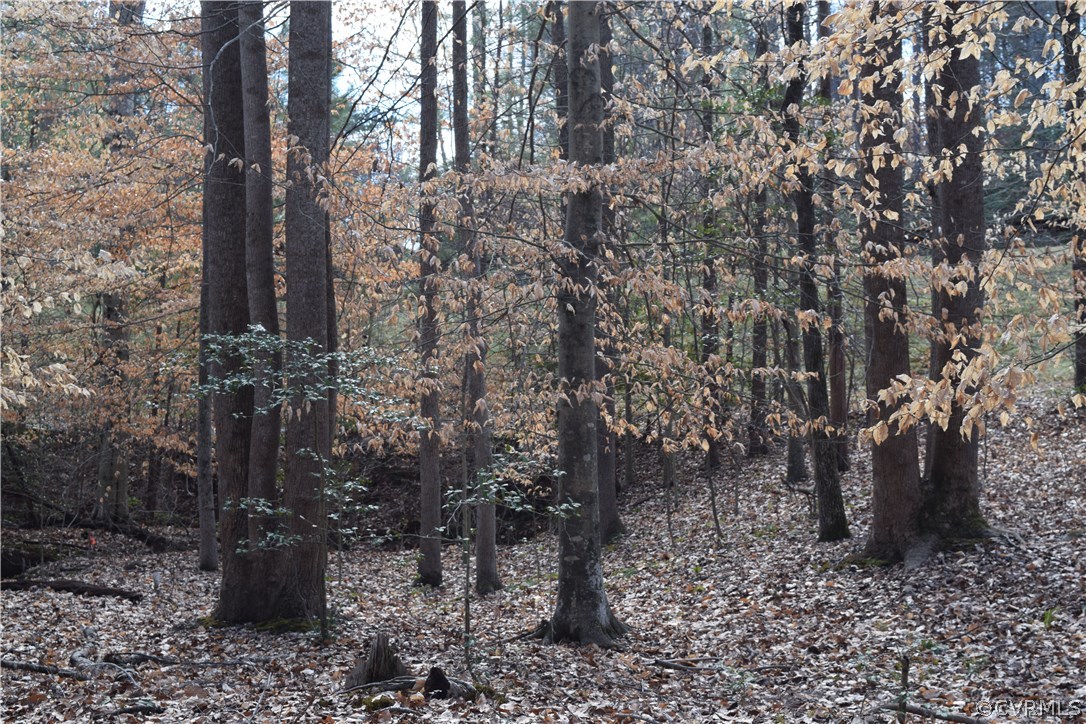 373 Hamlet Road Manakin-Sabot, VA 23103 - Photo 28 of 49 a backyard of a house with a tree