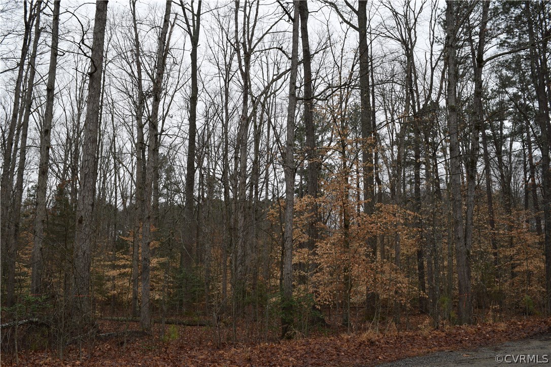 373 Hamlet Road Manakin-Sabot, VA 23103 - Photo 37 of 49 a view of forest