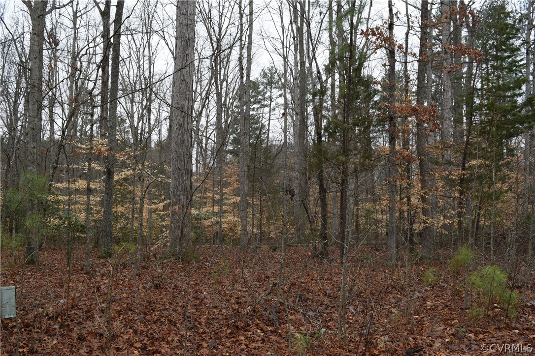 373 Hamlet Road Manakin-Sabot, VA 23103 - Photo 38 of 49 a view of a forest with lots of trees