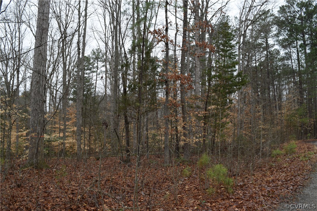 373 Hamlet Road Manakin-Sabot, VA 23103 - Photo 39 of 49 a view of a forest with large trees