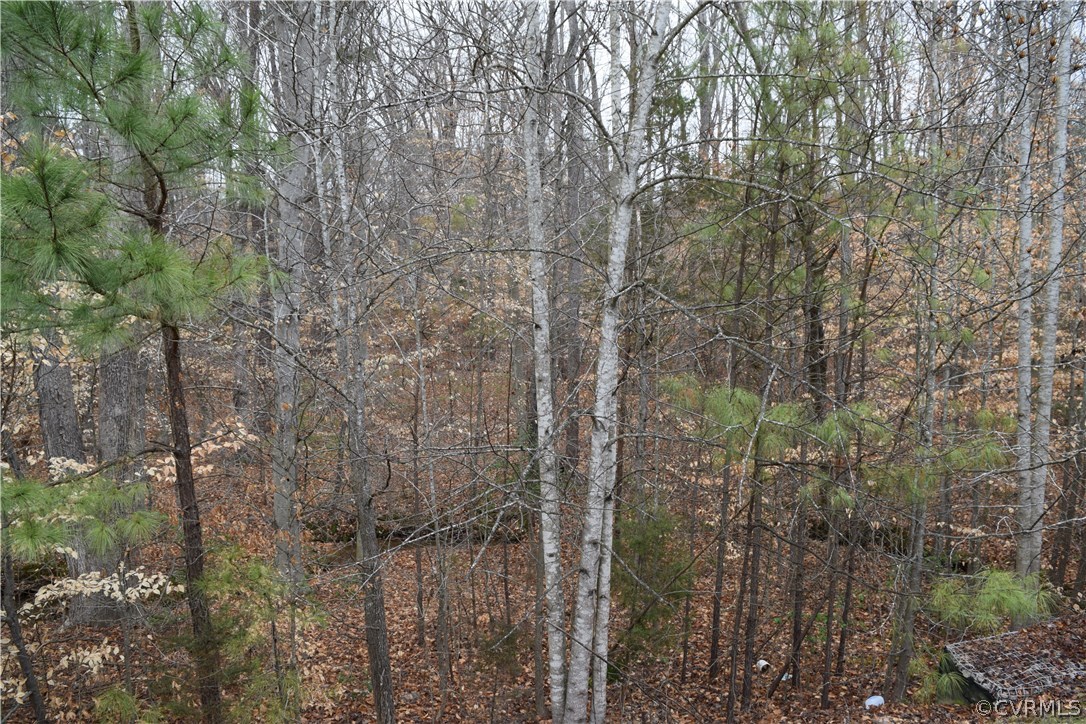 373 Hamlet Road Manakin-Sabot, VA 23103 - Photo 40 of 49 a view of a forest that has a tree