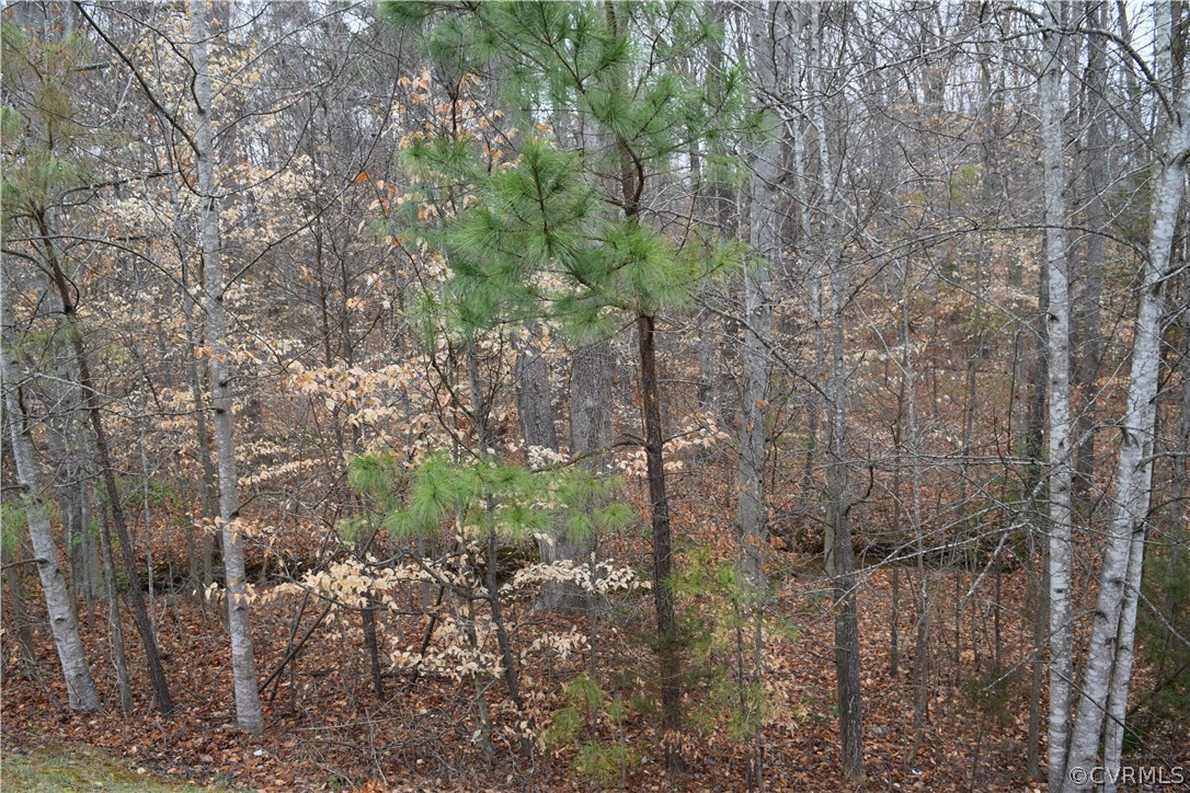 373 Hamlet Road Manakin-Sabot, VA 23103 - Photo 41 of 49 a view of a tree in a yard